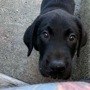 Meet your Posher, Kathryn